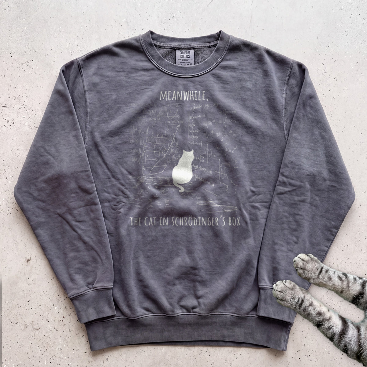 Schrödinger’s Cat Sweatshirt - Pepper
