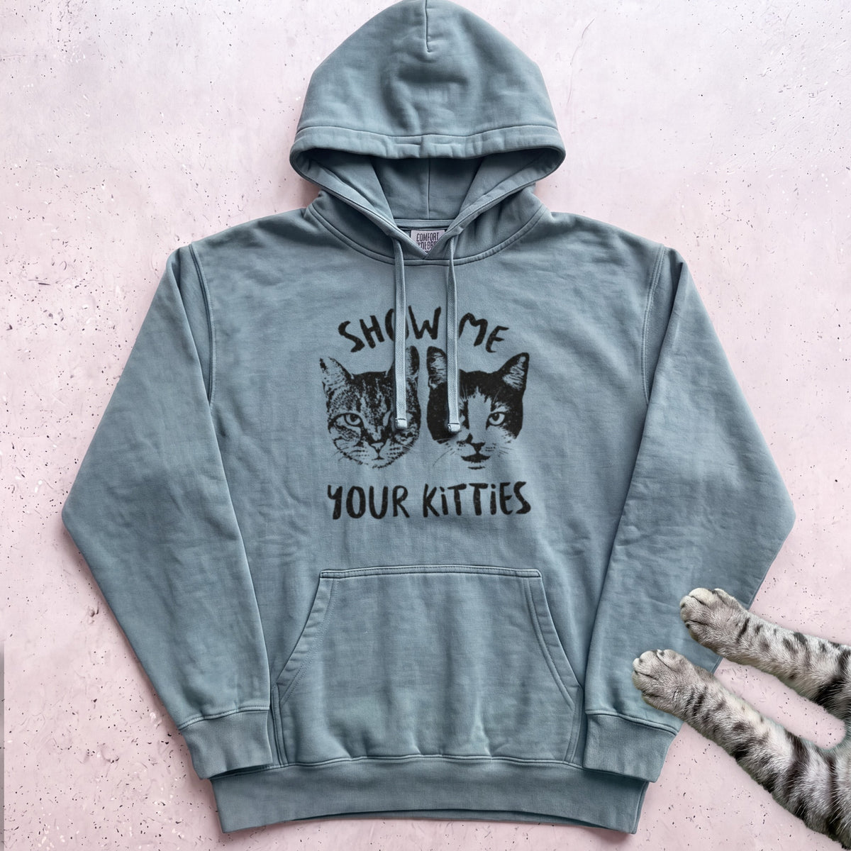 Show Me Your Kitties Hoodie - Seafoam
