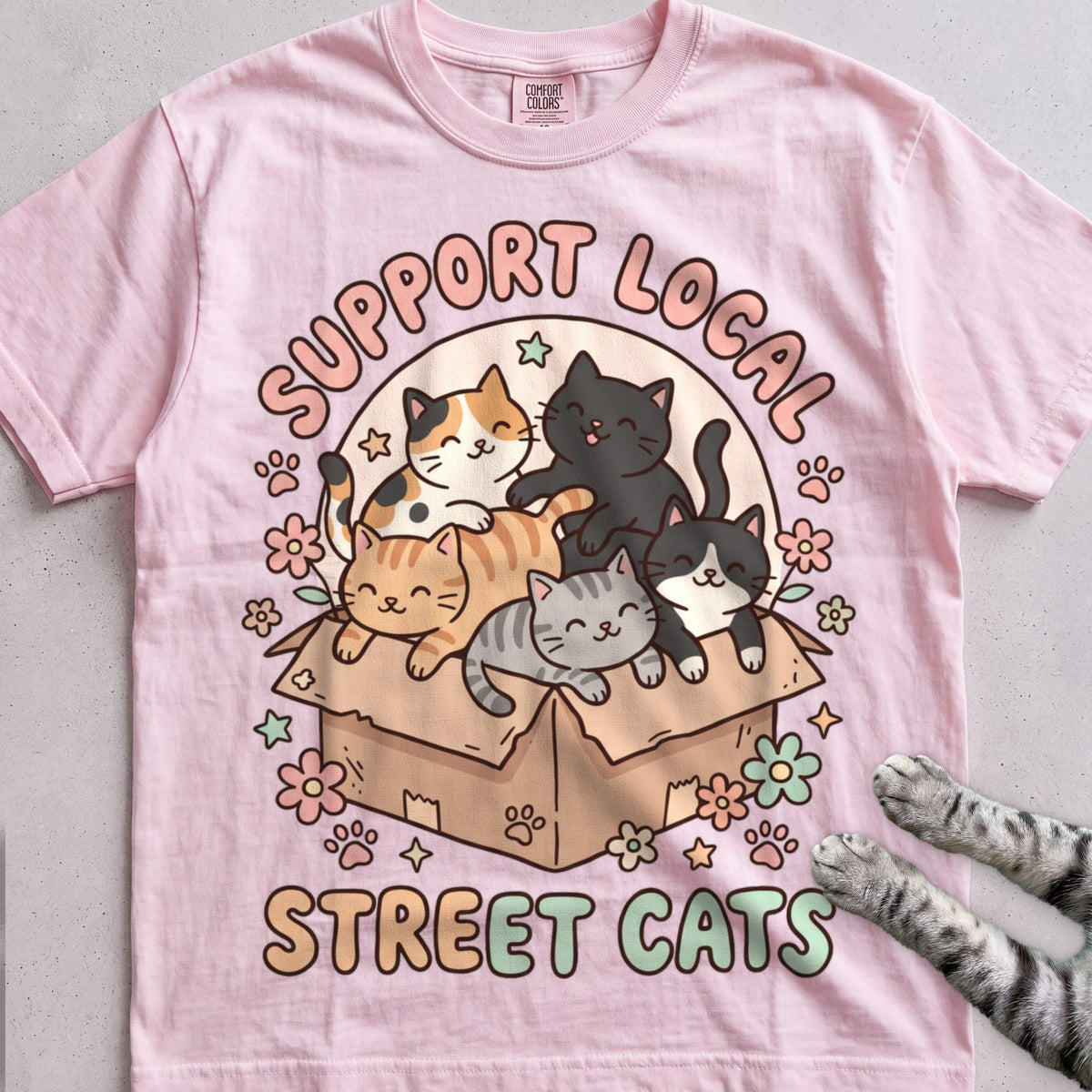 Support Local Street Cats Box Crew T-Shirt - Blossom