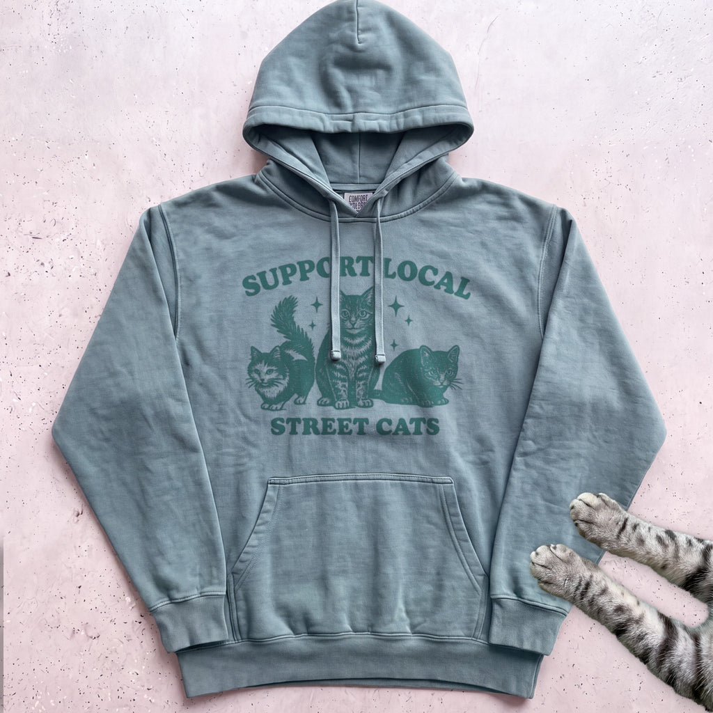 Support Local Street Cats Hoodie - Seafoam