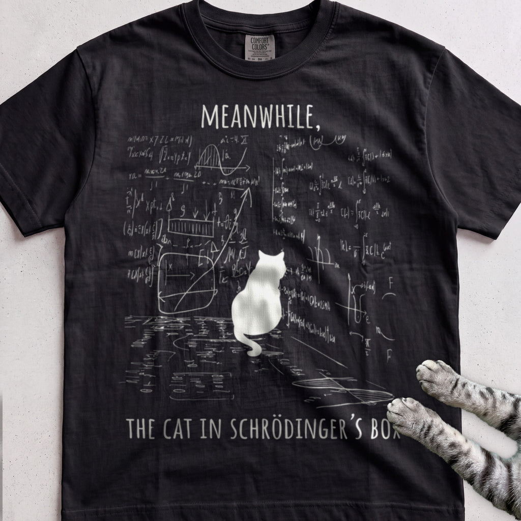 Schrödinger’s Cat tee, Black