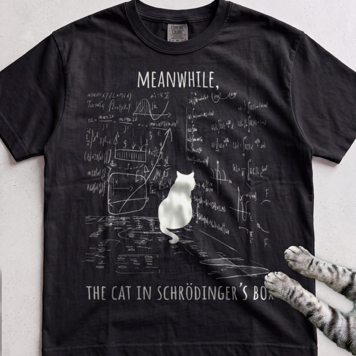 Schrödinger’s Cat tee, Black