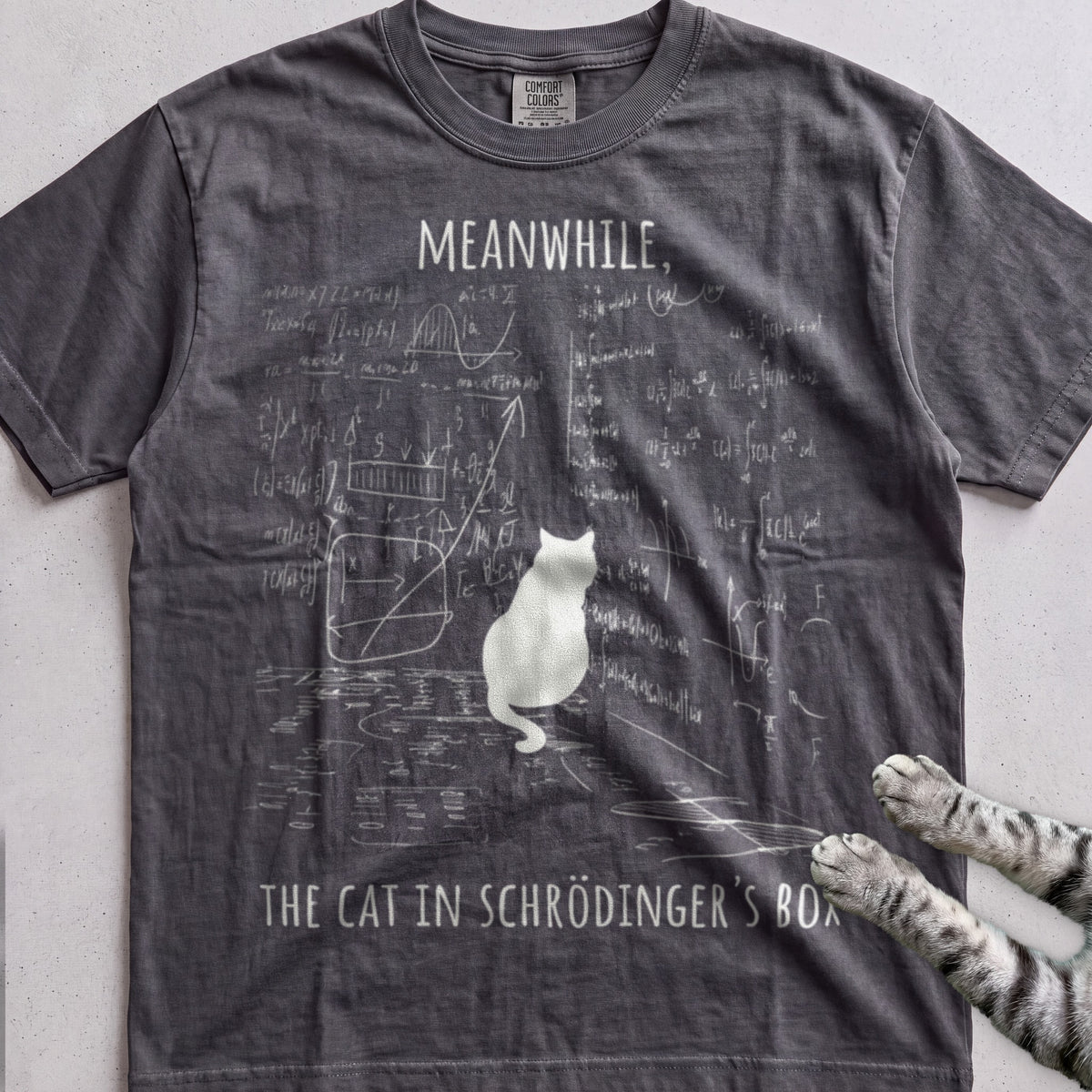 Schrödinger’s Cat tee, Dark Heather Grey