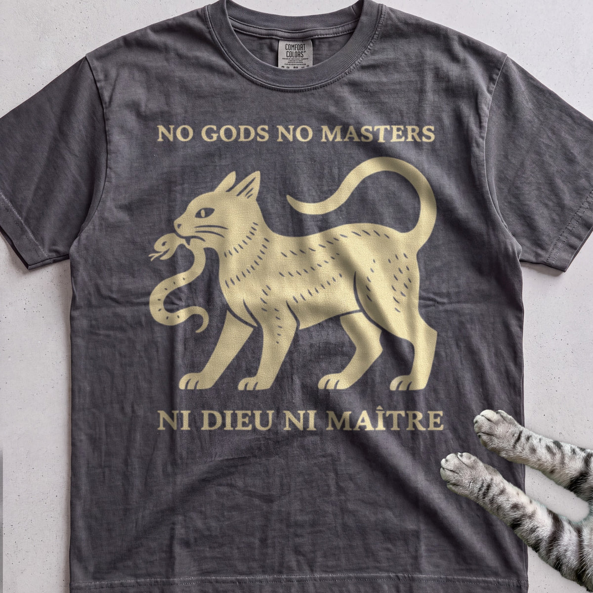 Anarchist Cat tee, Dark Heather
