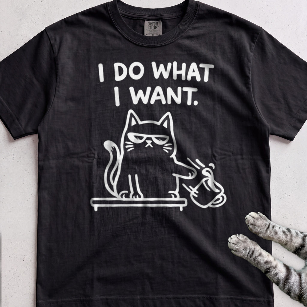 I Do What I Want Cat tee, Black
