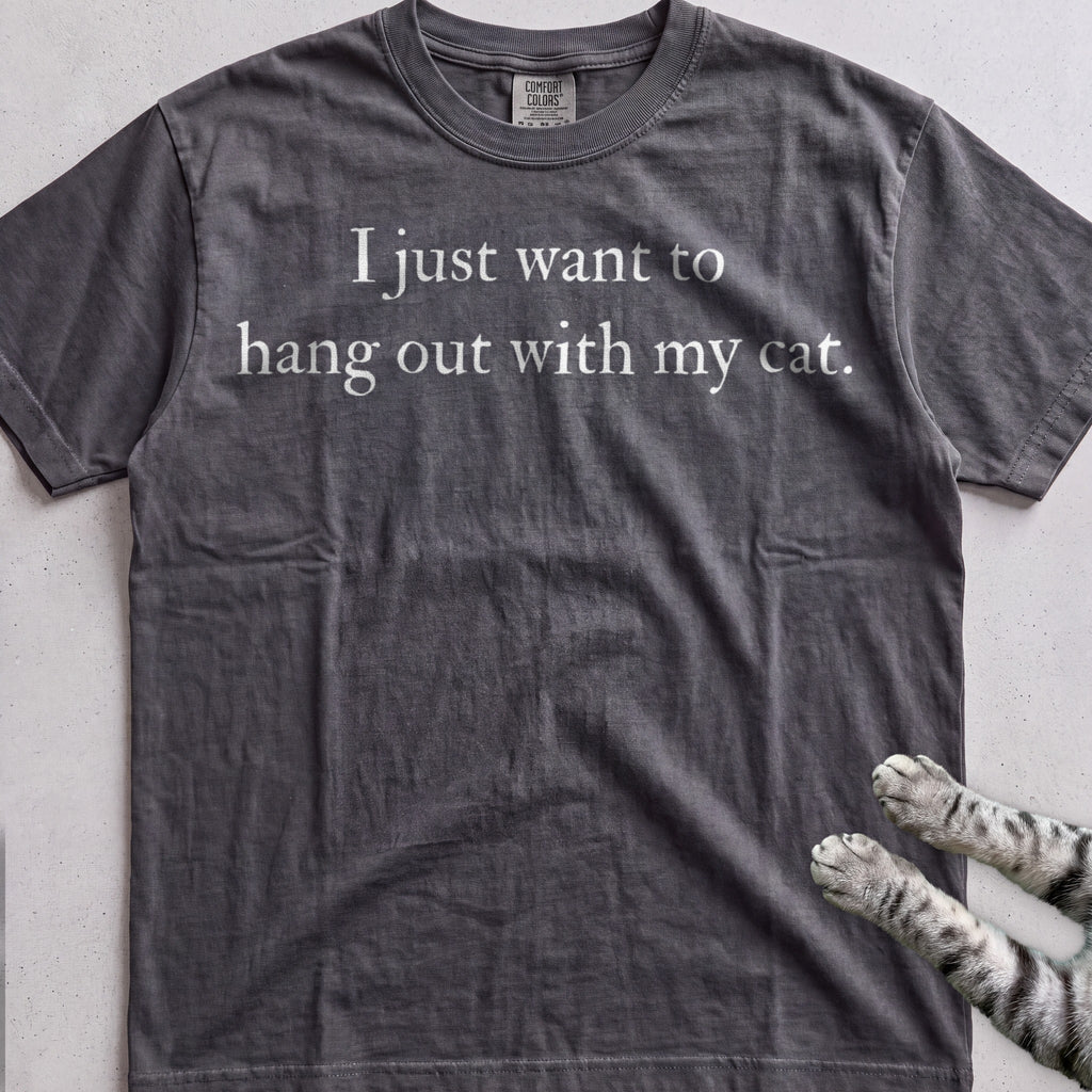 I Just Want to Hang Out with My Cat tee, Dark Heather