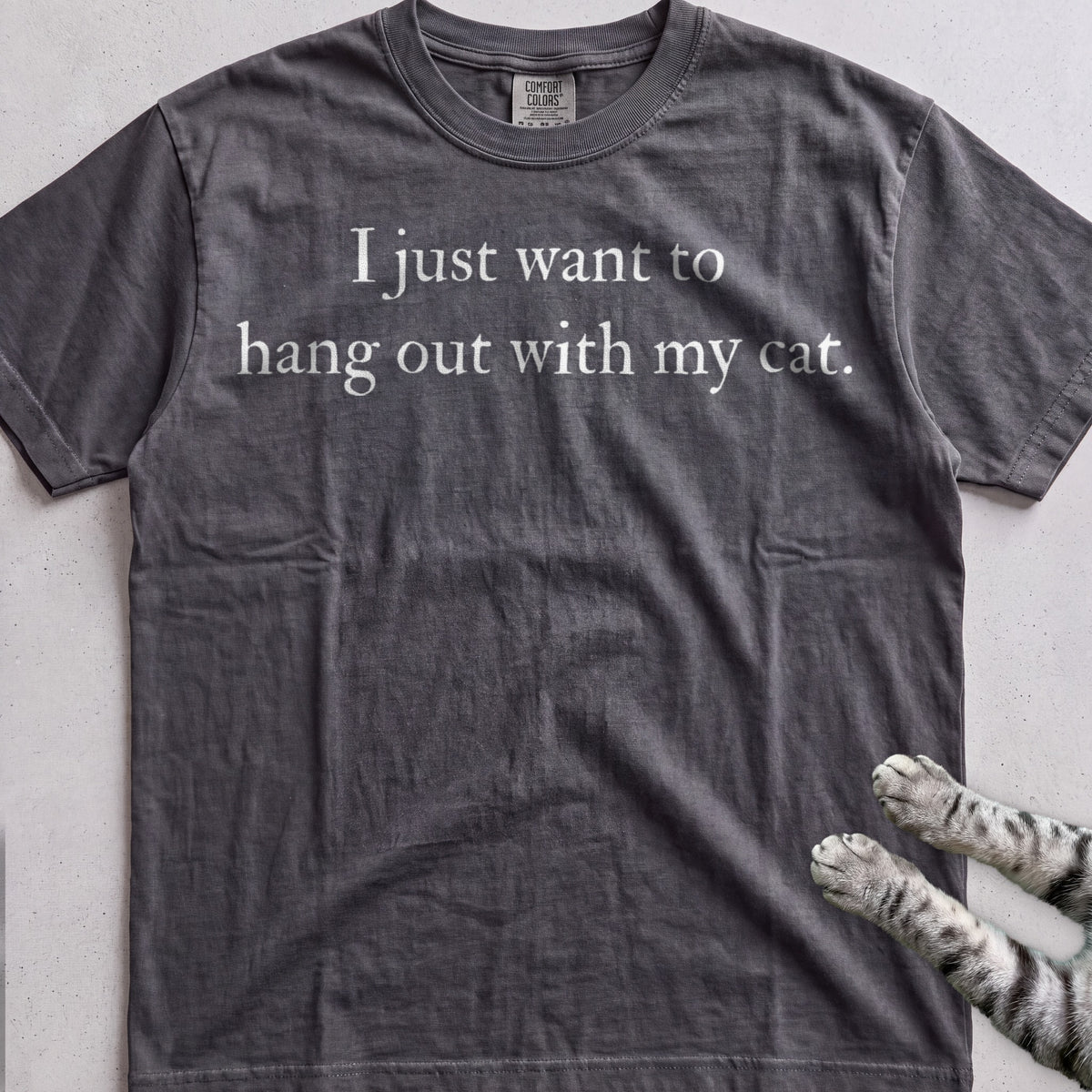 I Just Want to Hang Out with My Cat tee, Dark Heather