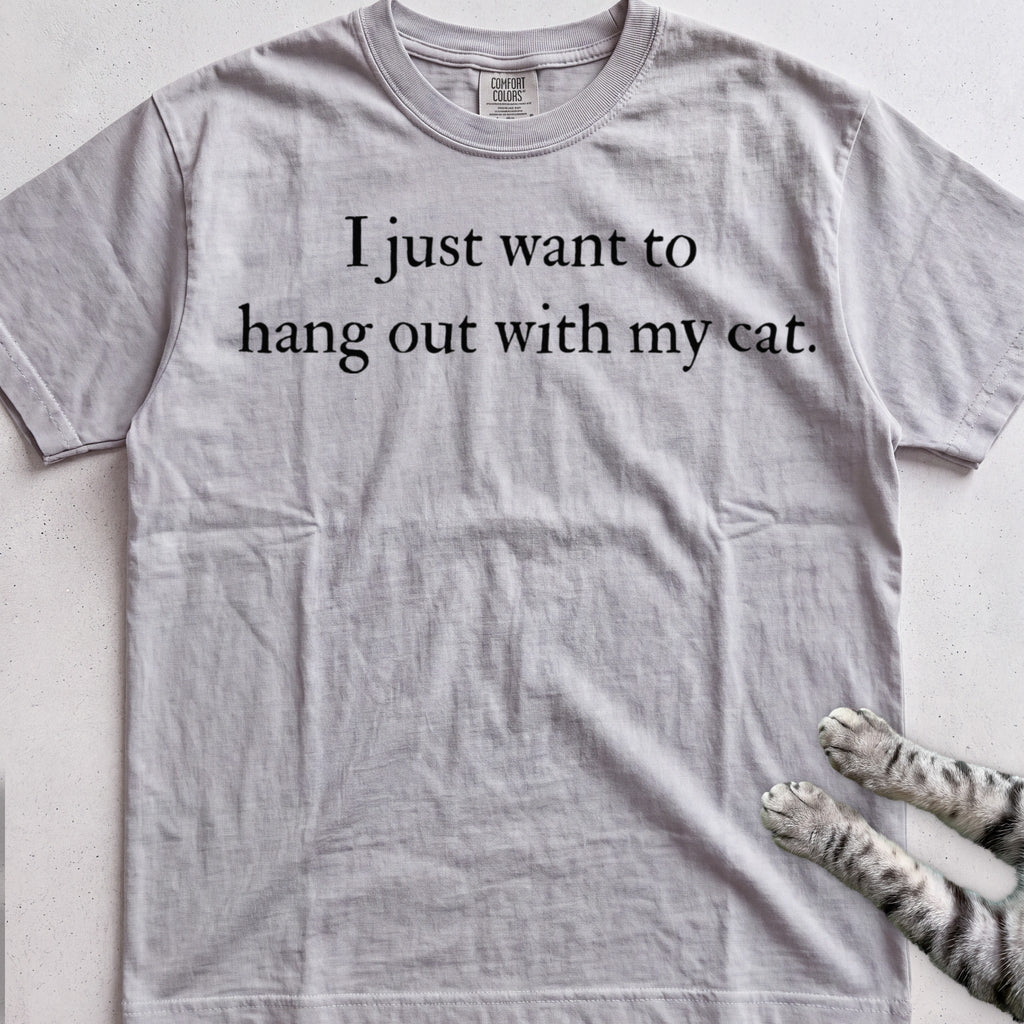 I Just Want to Hang Out with My Cat tee, Sport Grey