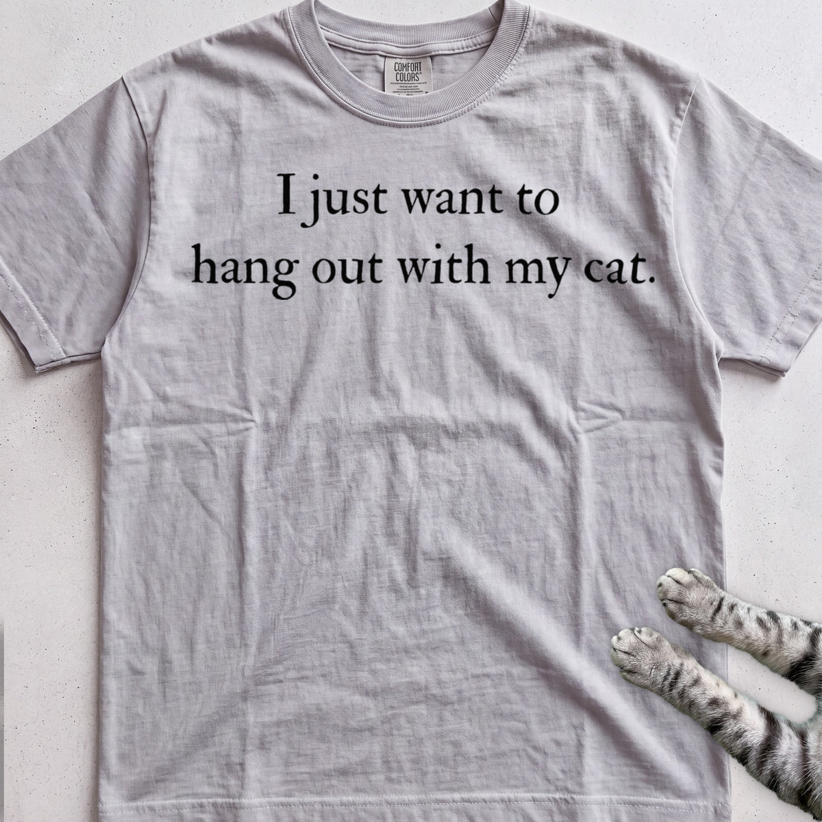 I Just Want to Hang Out with My Cat tee, Sport Grey