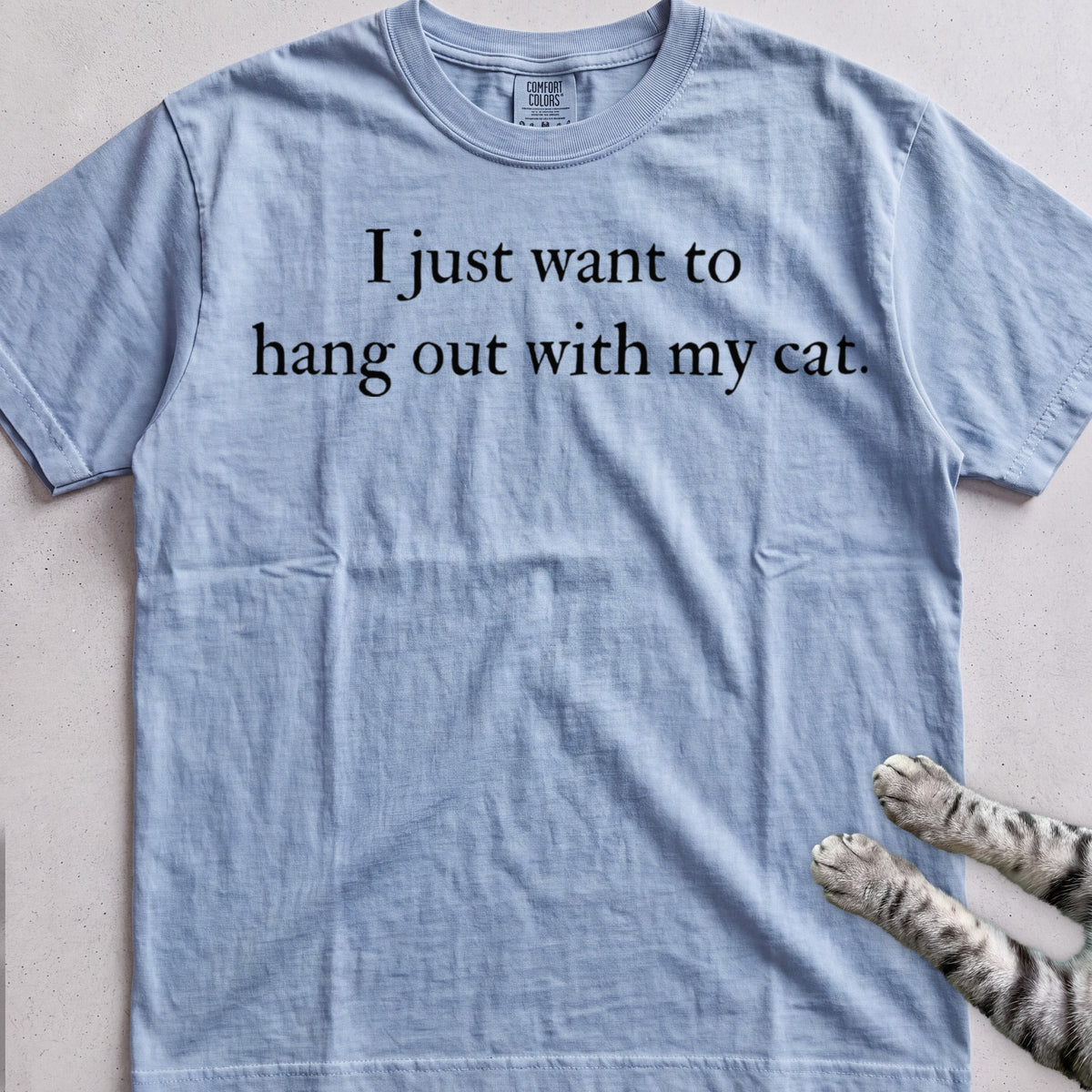 I Just Want to Hang Out with My Cat tee, Light Blue