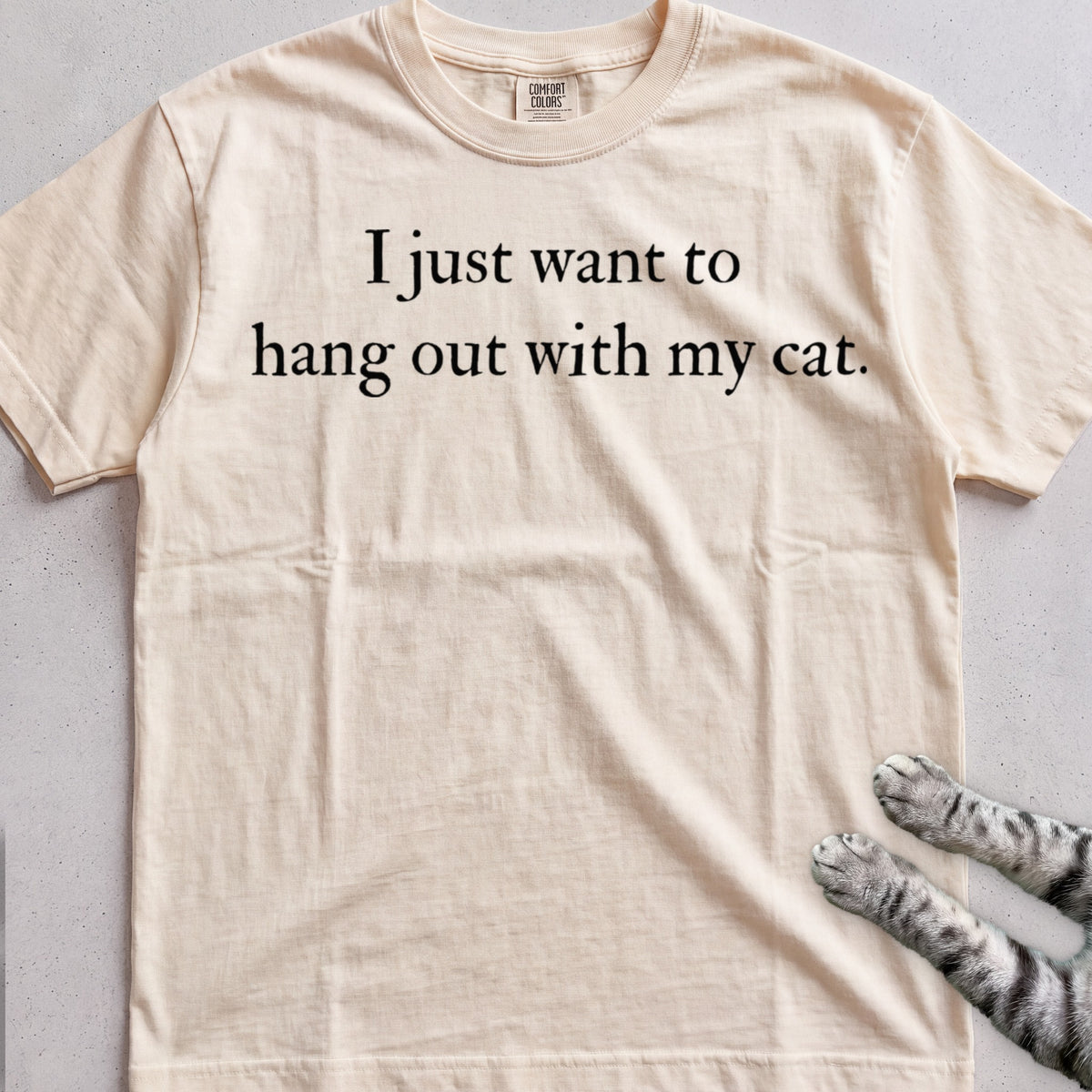 I Just Want to Hang Out with My Cat tee, Natural
