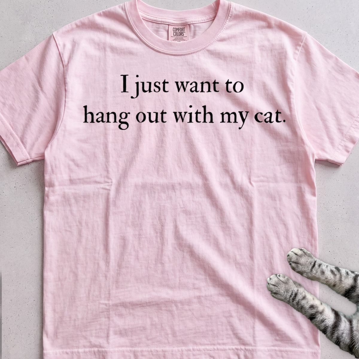 I Just Want to Hang Out with My Cat tee, Light Pink