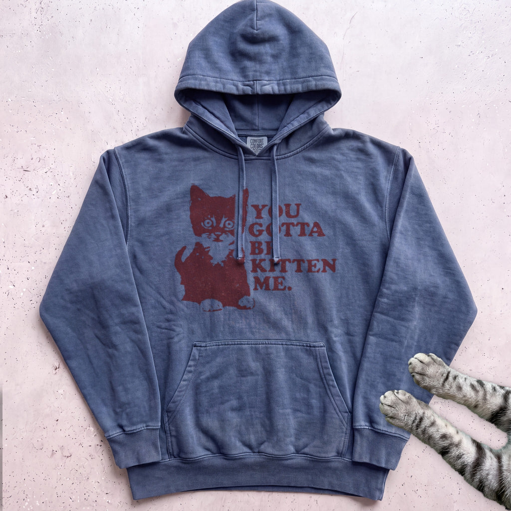 You Gotta Be Kitten Me Cat Hoodie - Denim