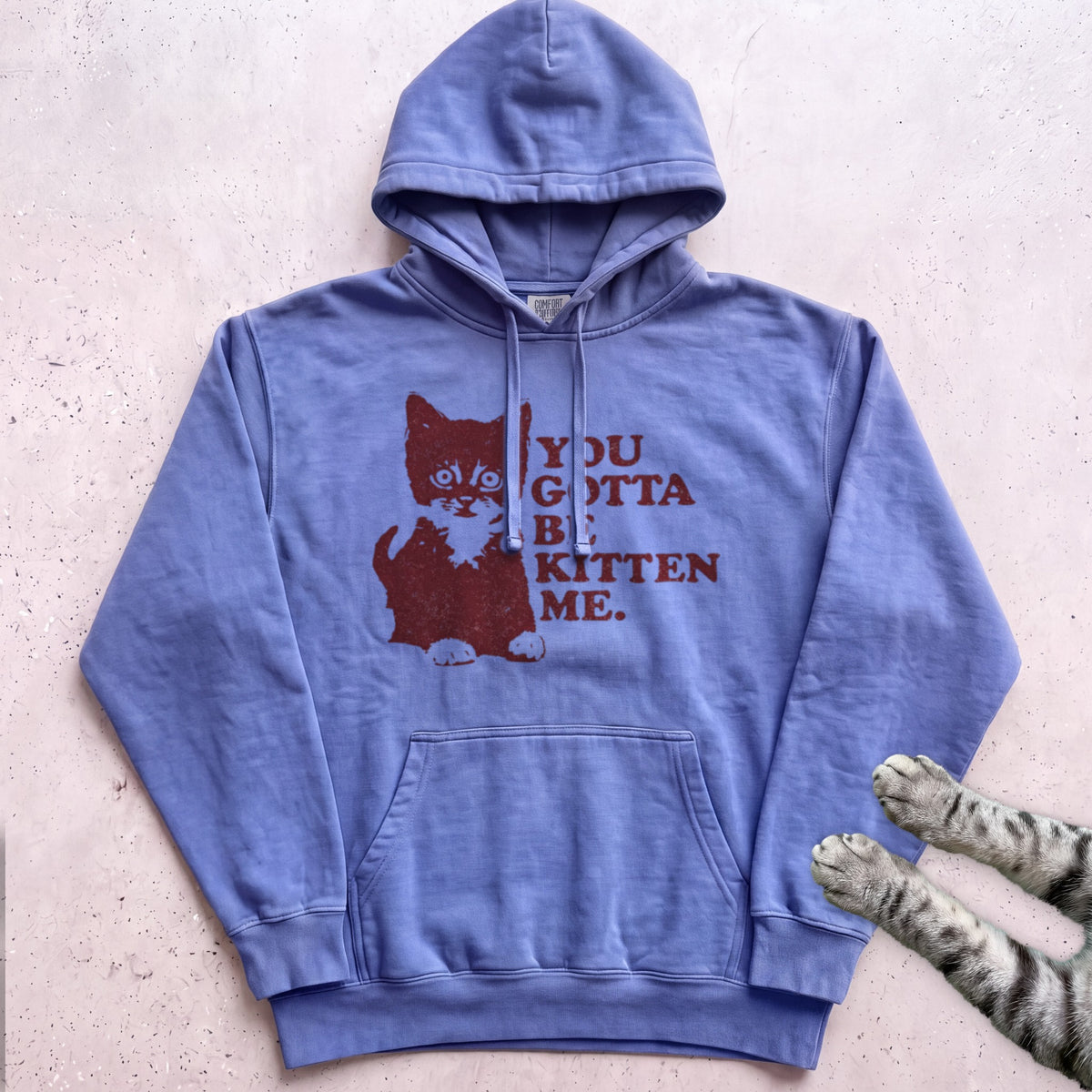 You Gotta Be Kitten Me Cat Hoodie - Flo Blue
