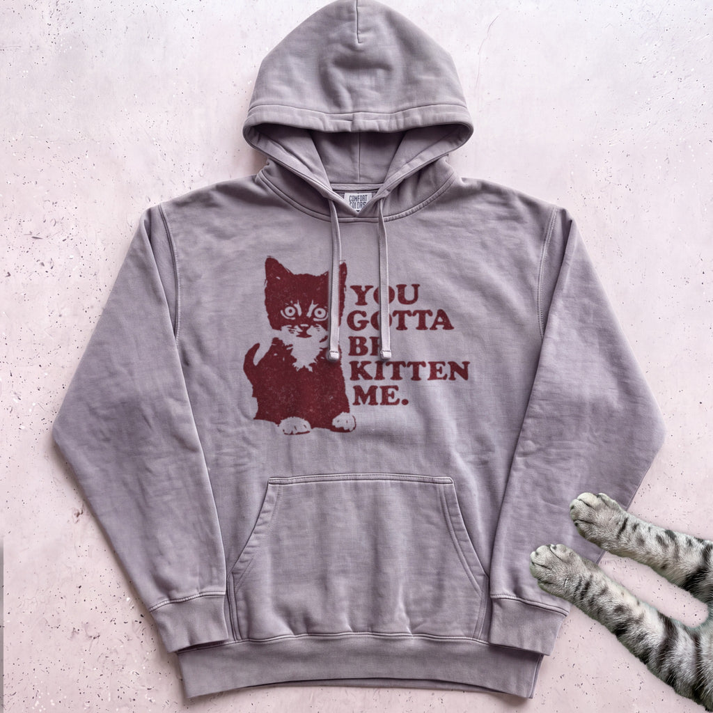 You Gotta Be Kitten Me Cat Hoodie - Grey