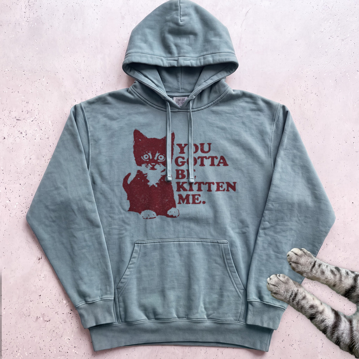 You Gotta Be Kitten Me Cat Hoodie - Seafoam