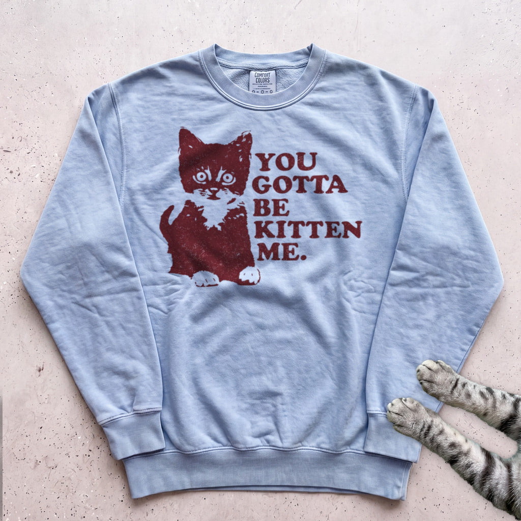 You Gotta Be Kitten Me Cat Sweatshirt - Chambray